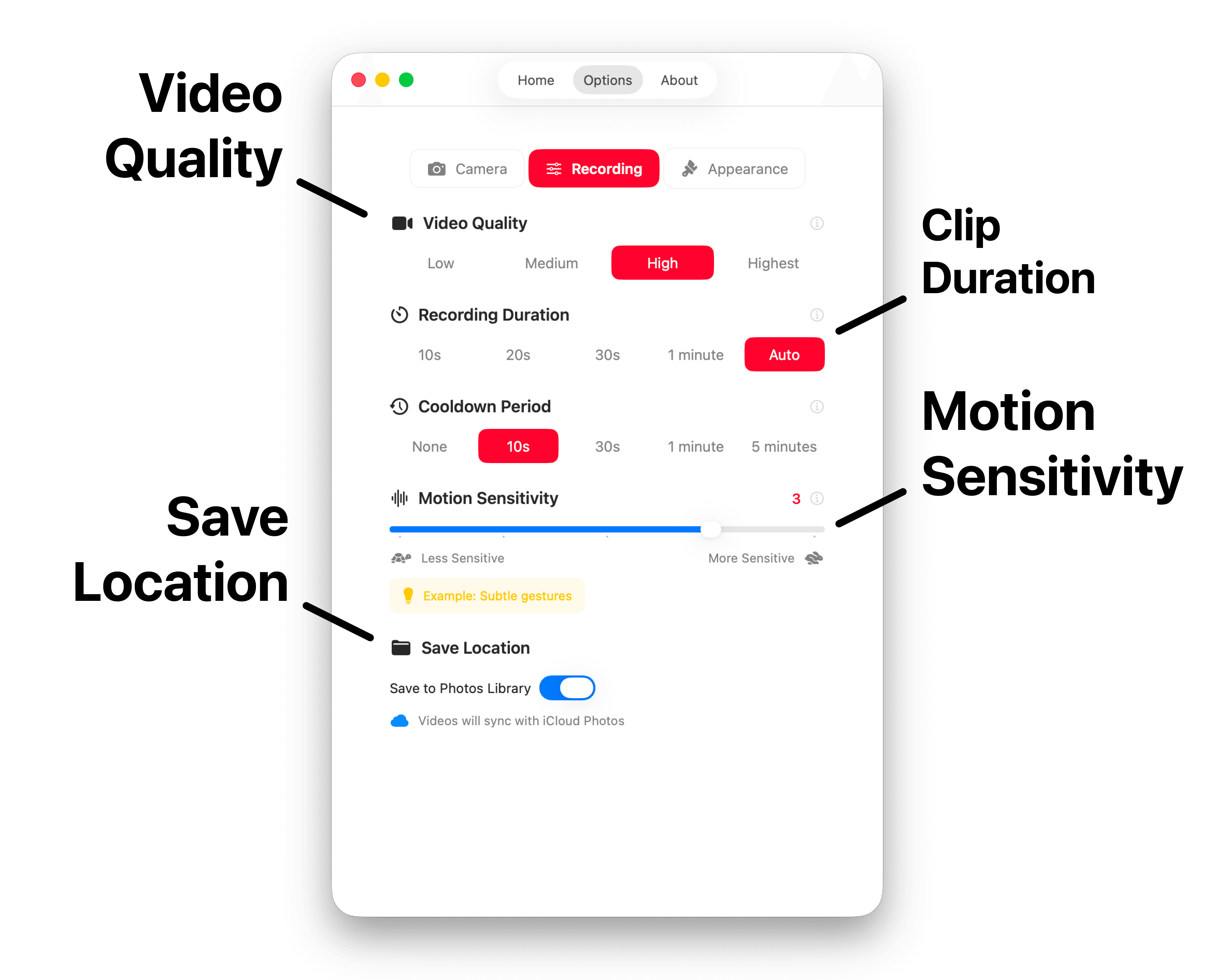 Tailored to Your Needs